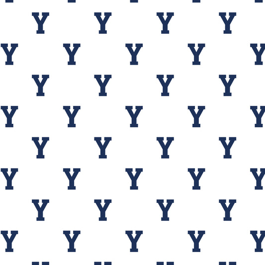 BYU Edge Design